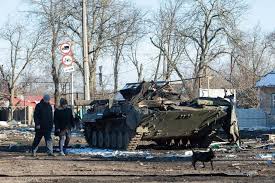 The controversy surrounding Nina Volyanska's tanks